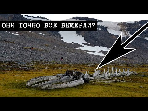 Видео: КАКОЙ УЖАС СКРЫВАЮТ В СЕБЕ ЛЕДНИКИ АНТАРКТИДЫ! ЭТО ЕЩЕ НЕ ВСЕ! 12.02.2020 ДОКУМЕНТАЛЬНЫЙ ФИЛЬМ HD