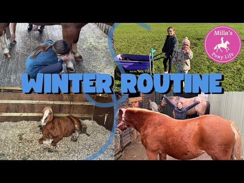 Видео: ГОТОВЬТЕСЬ К ЗИМЕ — Издание Pony