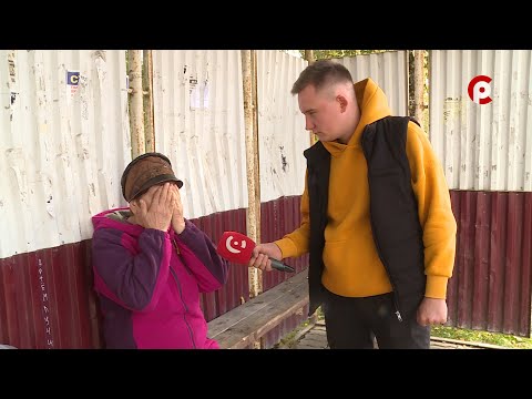 Видео: Что вижу, то пою. Выпуск №198