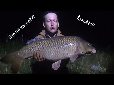 Видео: РЫБАЛКА НА ТОЙГАНКОЛЕ! НОЧНЫЕ МОНСТРЫ! 2025! Тестируем Фонарь от Armytek Wizard C2 Magnet USB!