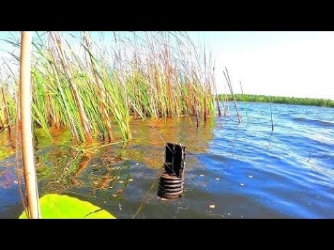 Видео: РУКИ В КРОВИ ОТ ТАКОЙ РЫБАЛКИ!!!ВЗЯЛ  КРУПНУЮ МАМКУ,РЫБАЛКА 2025.РЫБАЛКА В ИЮЛЕ