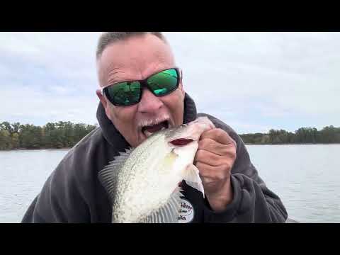 Видео: Crappie Condos любят Crappie Gilley - High Rock Lake