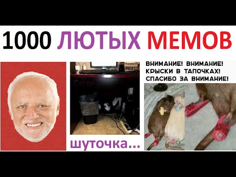 Видео: 1000 Лютых МЕМОВ. МЕГАПОДБОРКА МЕМОВ с канала МАКСА МАКСИМОВА