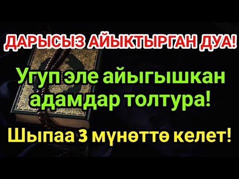 Видео: МИҢДЕГЕН АДАМДАР ДАРЫСЫЗ АЙЫГЫП КЕТТИ! Пайгамбардын дубасы керемет кылды!