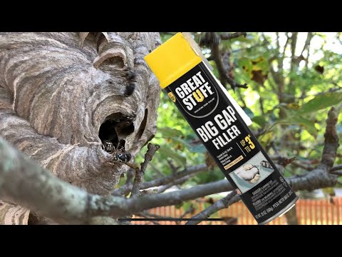 Видео: Пена для распыления против осиных гнезд и результаты