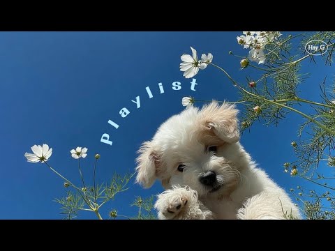 Видео: Плейлист 🎧 Осенний вайб просто пушка❣️ Мгновенно поднимает настроение | 8 часов без рекламы