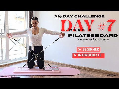 Видео: 28-дневный пилатес-турнир с доской | День 7 — для начинающих | пресс + верхняя часть тела