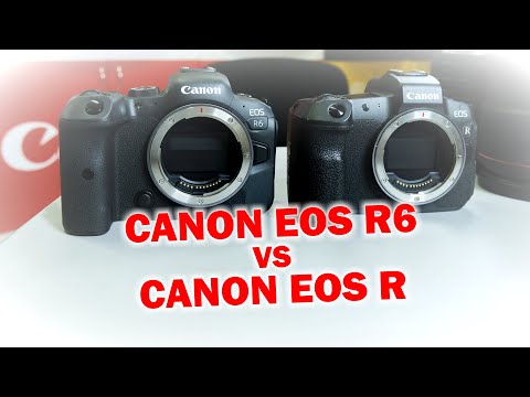 Видео: Обзор Canon EOS R6 vs EOS R