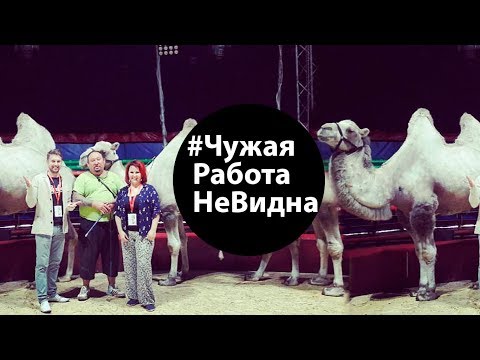 Видео: Дрессировщик верблюдов в проекте #ЧужаяРаботаНеВидна