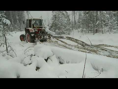 Видео: ЮМЗ испытания лебёдки в лесу