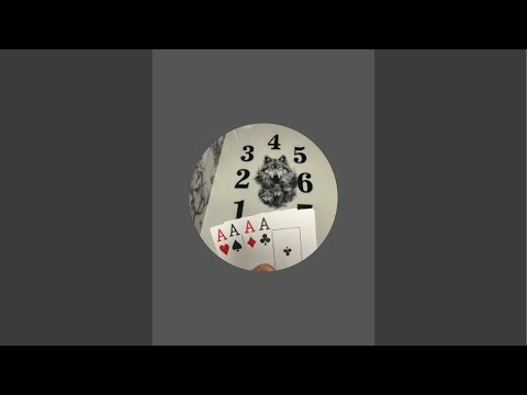 Видео: ТРИНКА ТЧ в прямом эфире!