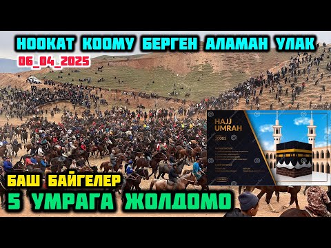 Видео: БАШ БАЙГЕ 5 УМРАГА ЖОЛДОМО / НООКАТ КООМУ  БЕРГЕН ЧОҢ АЛАМАН УЛАК 06_04_2025
