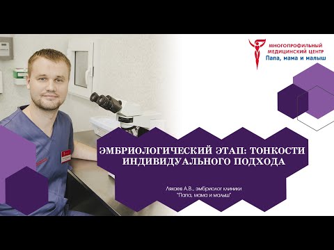Видео: Эмбриологический этап: тонкости индивидуального подхода