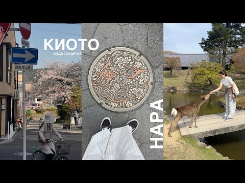 Видео: КИОТО переоценен? | НАРА | Что купить в КОМБИНИ Lawson и 7/11?