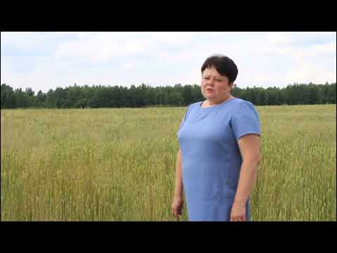 Видео: Видео в рамках проекта "Было опасно-стало прекрасно" Клецкий район