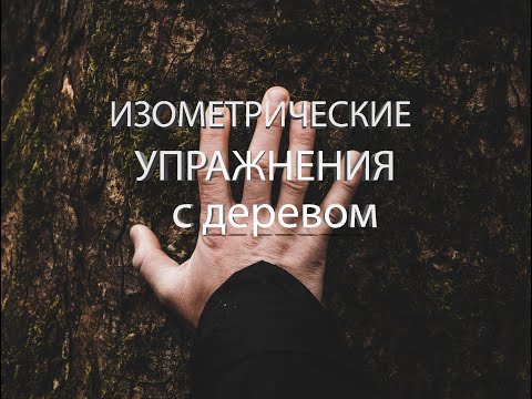 Видео: Тайцзицюань, Цигун, Ушу Изометрические упражнения с деревом