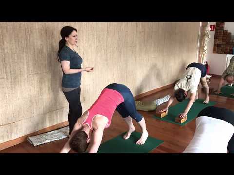 Видео: Адхо Мукха Шванасана