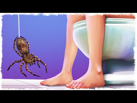 Видео: ЗЛОЙ ПАУК vs ЧЕЛОВЕК С МУХОБОЙКОЙ В SLAP THE FLY!!!