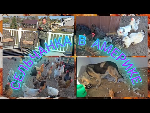 Видео: ЧТО ОНИ НАТВОРИЛИ ПОКА НАС НЕ БЫЛО ДОМА 🙈🙈