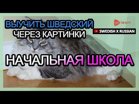 Видео: Выучить шведский через картинки |шведский словарь Начальная школа | Golearn