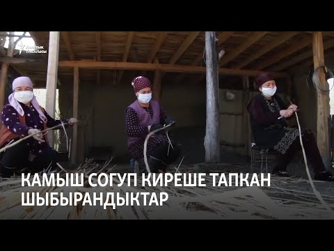 Видео: Камыш согуп киреше тапкан шыбырандыктар