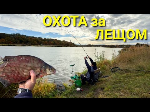 Видео: Фидерная ОХОТА НА ЛЕЩА! Осенний улов на реке — трофейный лещ в садке