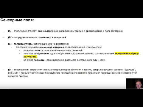 Видео: Прикладная феноменология спортивной нейрофизиологии - к созданию AGI, Антон Морозов - семинар AGI