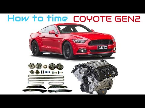 Видео: Как измерить время: пошаговое руководство по двигателю Mustang GEN2 5.0