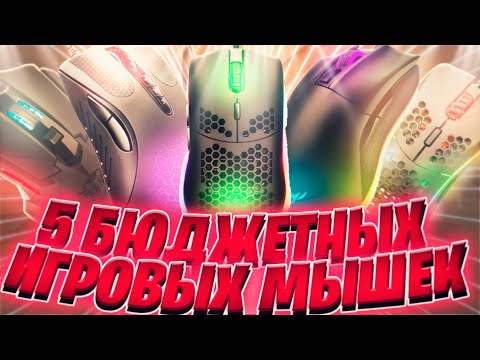 Видео: ТОП 5 БЮДЖЕТНЫХ МЫШЕК ДЛЯ ПВП И СТРОИТЕЛЬСТВА! ЛУЧШИЕ МЫШКИ ДЛЯ МАЙНКРАФТА! МЫШКИ ДЛЯ БАТТЕРФЛЯЯ!