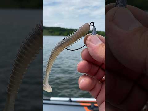 Видео: Рыбалка в День Рождения на спиннинг