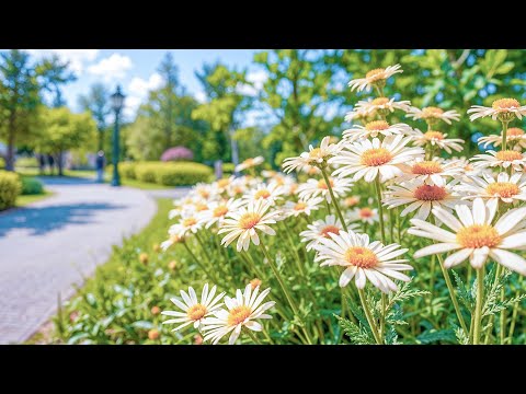 Видео: Успокойся под звуки живых цветов🌿музыка помогает разуму расслабиться и гармонизироваться