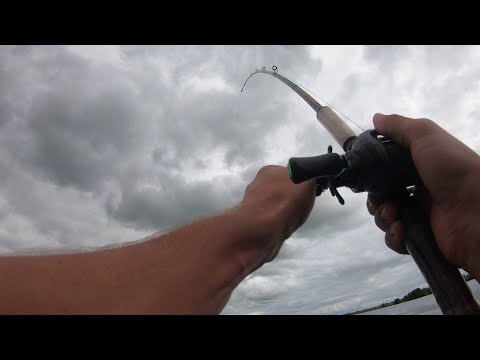 Видео: ЛОВЛЯ ЗМЕЕГОЛОВА НА ЛЯГУШКУ . В АВГУСТЕ 2020