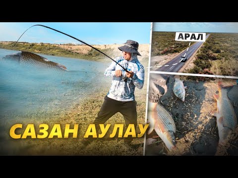 Видео: ӨЗЕННІҢ САЗАНДАРЫ АУЛАУ. Қызылорда облысы, Арал ауданы.