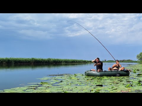 Видео: Велетенські карасі на поплавок. Рибачим з човна в лататтях