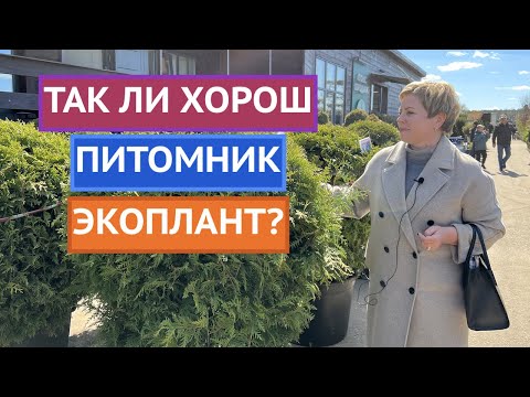 Видео: МОЕ ПУТЕШЕСТВИЕ В САМЫЙ НАШУМЕВШИЙ ПИТОМНИК МОСКВЫ!