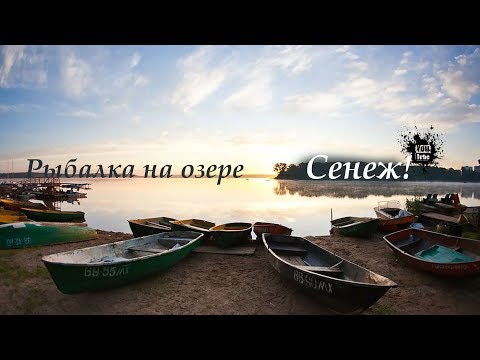 Видео: Рыбалка на озере Сенеж! Супер прикормка для плотвы и не только! Солнечногорск