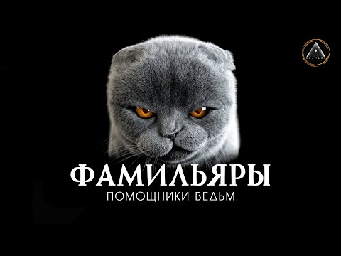 Видео: ФАМИЛЬЯРЫ. Помощники ведьм. Кто такие фамильяры, откуда берутся, как помогают ведьмам.
