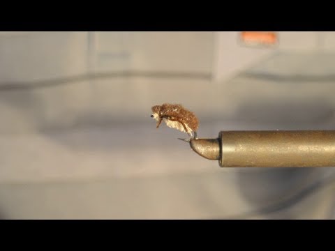 Видео: Нахлыстовая мушка жук