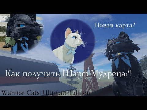 Видео: КАК ПОЛУЧИТЬ ШАРФ МУДРЕЦА НА НОВОЙ КАРТЕ? Warrior Cats: Ultimate Edition || Lingering Rain ||