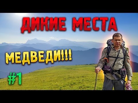 Видео: 🏕️ ДИКИЕ МЕСТА КАВКАЗА #1. Разбитая изба. Медведи!