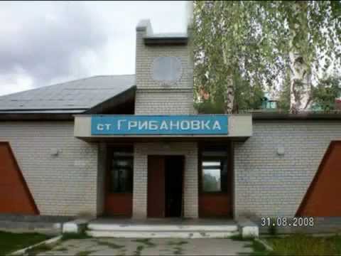 Видео: Грибановка