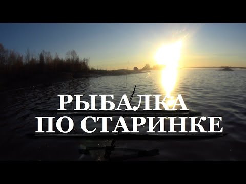 Видео: Вся сетка утыкана рыбой!Ещё прадед так ловил  сетями самовязками.Привязывал на колья!