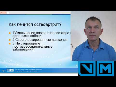 Видео: Дисплазия тазобедренного сустава.