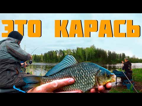 Видео: МОНТАЖ НА КАРАСЯ № 1. ДЕЛАЙ ТАК, ЕСЛИ ЛОВИШЬ НА ФИДЕР!