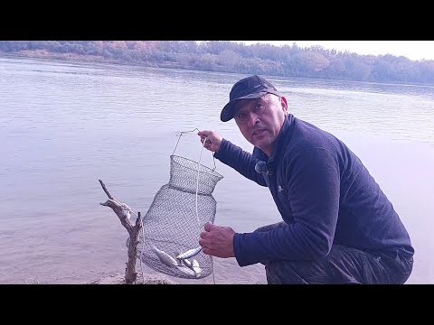 Видео: Балик ови.Октябрь ойи. Шамайка балигига балик ови. Фидерная рыбала в Узбекистане.