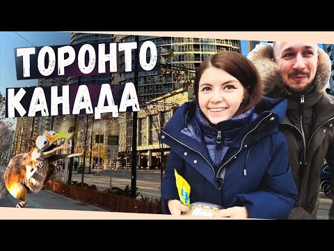 Видео: ОЛЯША - ПРОГУЛКА ИЗ КАНАДЫ