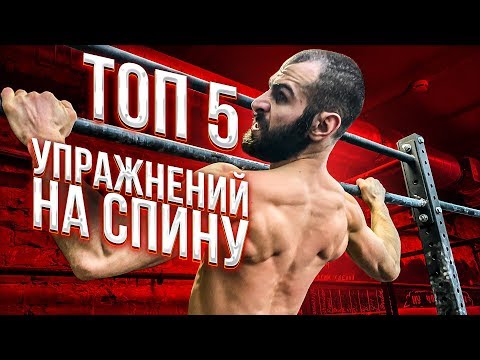 Видео: ТОП-5 УПРАЖНЕНИЙ НА СПИНУ ОТ ГОГИ