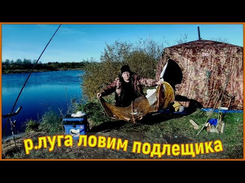 Видео: р.ЛУГА . ОКТЯБРЬ. ЛОВИМ ПОДЛЕЩИКА.Новая печка на дровах СМУГЛЯНКА.