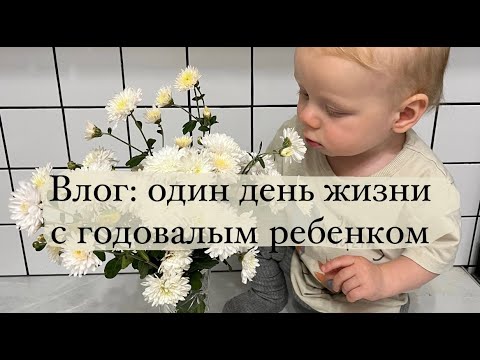 Видео: Влог: один день с годовалым ребенком в декрете. Распорядок дня. Рецепт американского печенья🍪