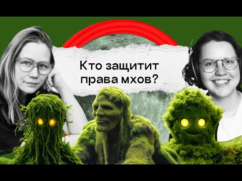Видео: Трогаем философию мхов. Киммерер, «Жизнь в пограничном слое»  | Краткая теория всего